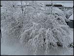 Se intampla acum in Craiova-img_0177-jpg