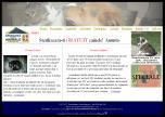 programare si design web-spa-jpg