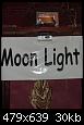Moon Light Club-dscf1modificat-jpg