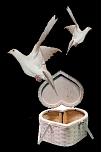 Porumbei nunta si evenimente festive-doves-coming-out-basket-png