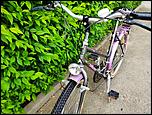 Bicicleta dama oras Bottecchia Panda - Made in Italy - impecabila-img_20190512_101502-jpg