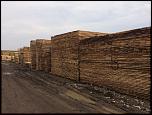 CHERESTEA (material lemnos) FOISOARE si BALANSOARE-img_0095-jpg