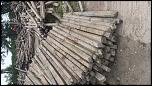 spalieri beton gard / vie-20140703_151141-jpg