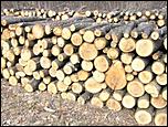 Vand lemne de foc-lemne-foc-jpg