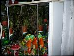 vitrina/dulap cu spoturi+2 dulapioare-p1160549-jpg