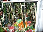 vitrina/dulap cu spoturi+2 dulapioare-p1160550-jpg