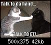 funny-pictures-cat-talk-to-the-hand.jpg