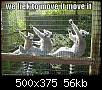 funny-pictures-dancing-lemurs.jpg