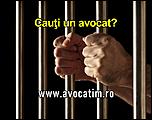 01-avocat-timisoara.jpg