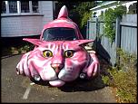 cat-car.jpg