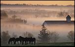 00284_foggyhorsefarm_2560x1600.jpg