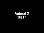 animal-x--981.jpeg