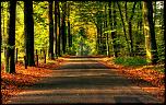 road-to-autumn-1680-1050-4608.jpg