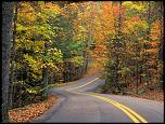 Autumn Colors Road.jpg