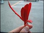 insect_origami6.jpg‎
