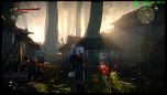 witcher2 2011-06-09 21-43-22-36.jpg