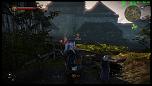 witcher2 2011-06-09 21-44-20-74.jpg