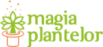 Magia Plantelor's Avatar
