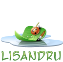 Lisandru06's Avatar