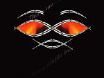 DonCoskailo's Avatar
