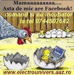 incubatoare's Avatar
