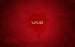 VaiO's Avatar