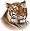 Tiger.Club4you's Avatar