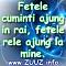 Petrut-Cosmin's Avatar