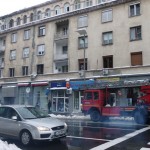 turturi craiova 1