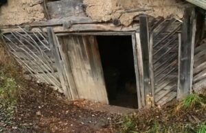 Din pământ și lemn. Arhitectura discretă a bordeiului