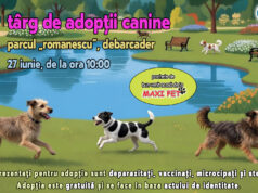 CRAIOVA: Târg de adopții canine în Parcul Romanescu