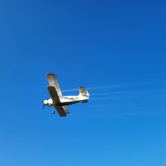 dezinsectie aeriana 2